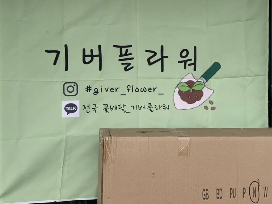 기버플라워 이미지