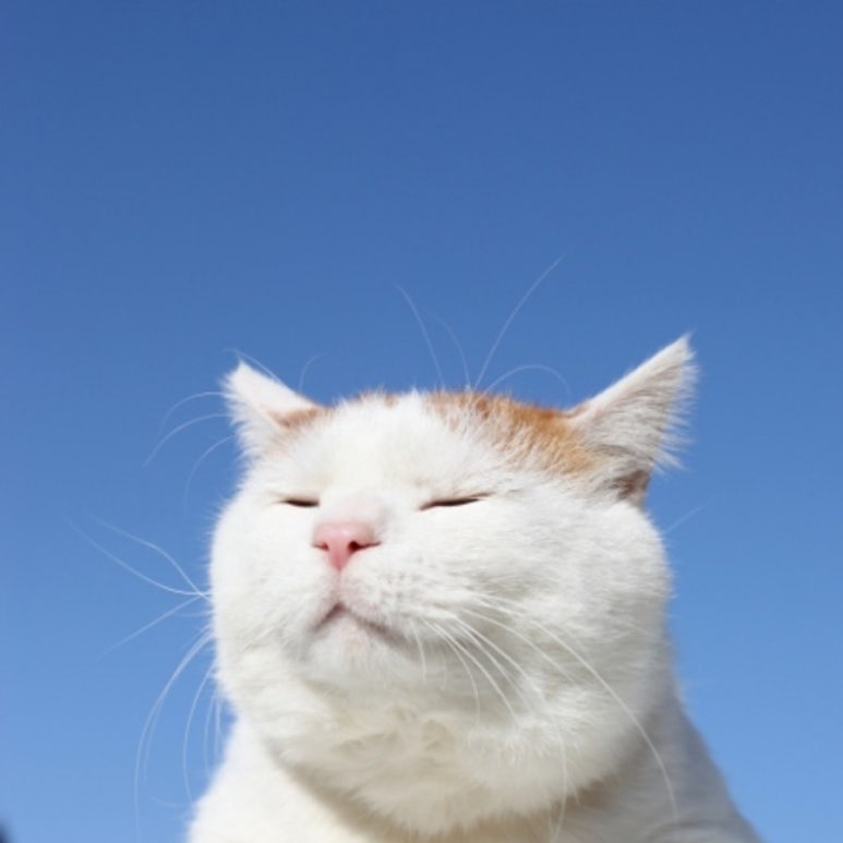 호성스터디카페 이미지