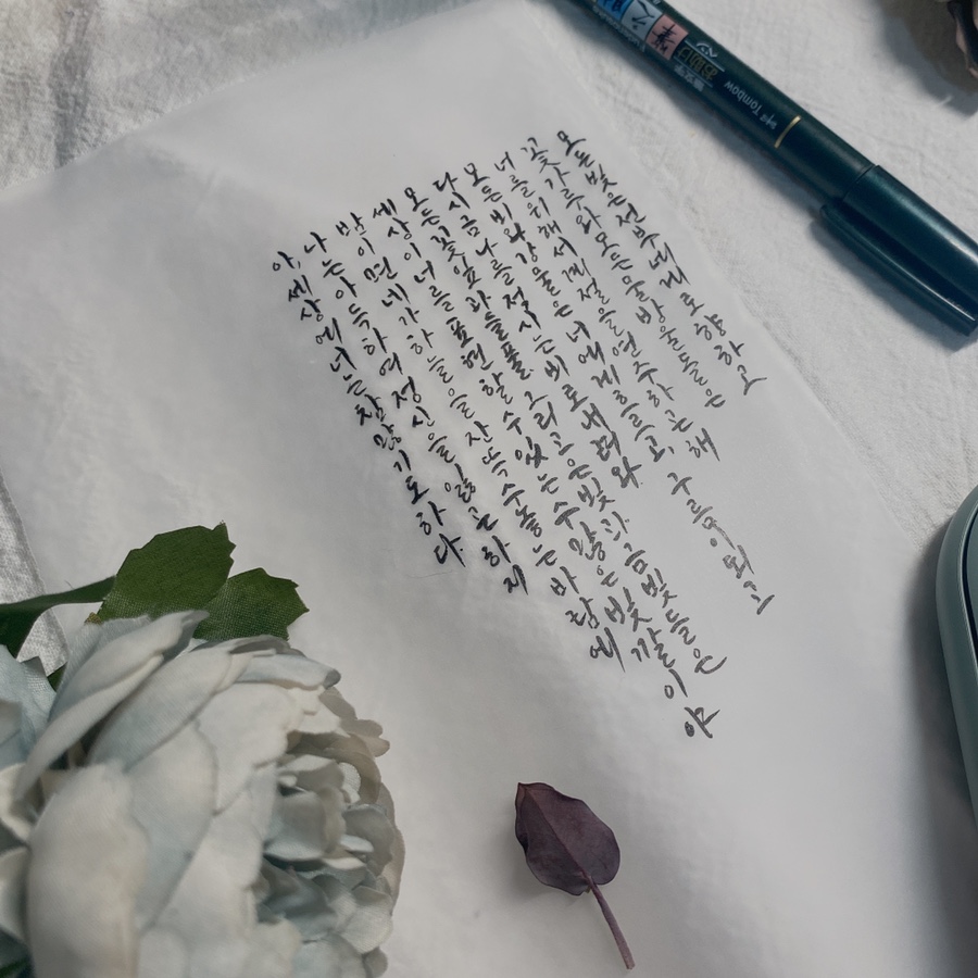 빛깔캘리그라피 이미지