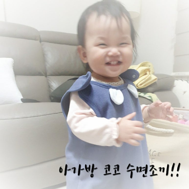 코코수 이미지
