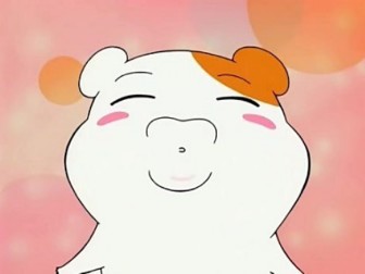 머그인스타 이미지