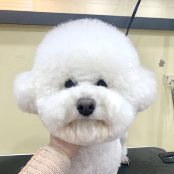 킴스살롱 이미지