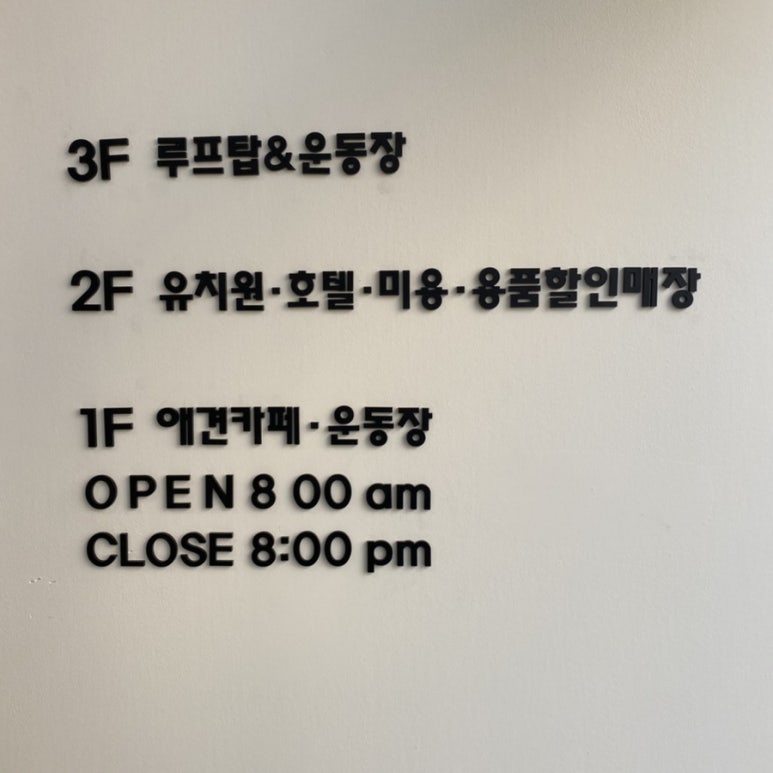 인디퍼피 이미지