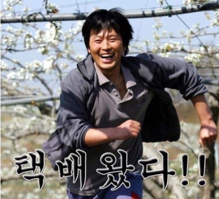 춘천기정떡 이미지
