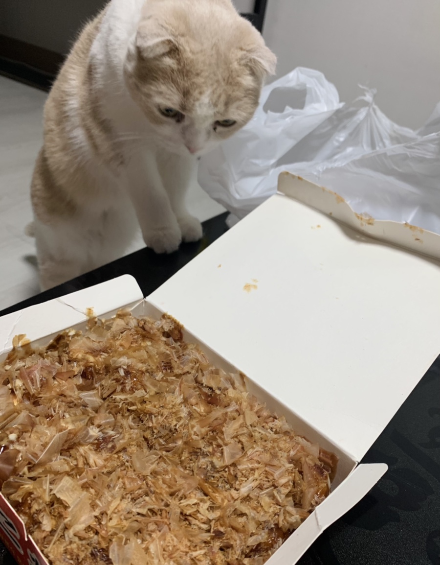 타코앤꼬치 이미지