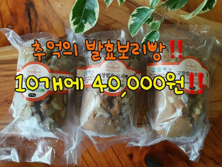다모기업 이미지