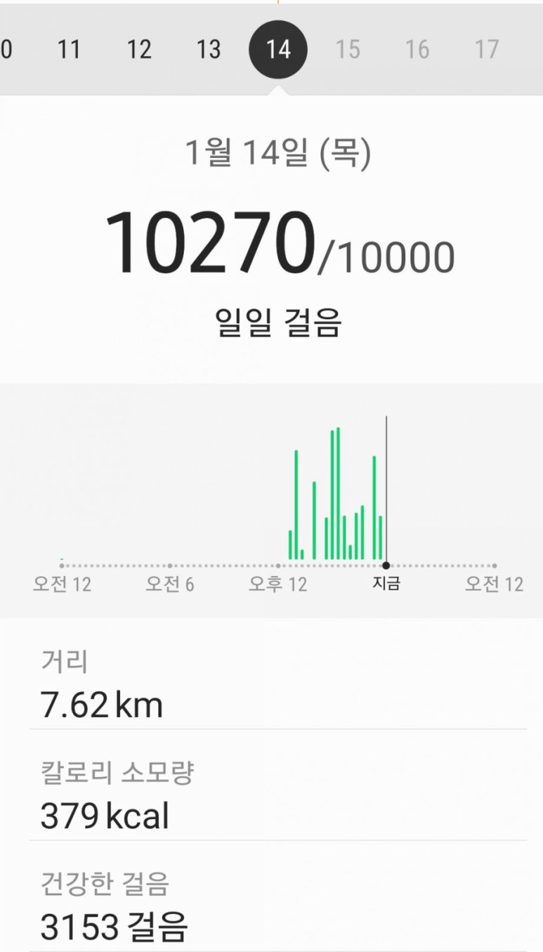 펠리세스 이미지