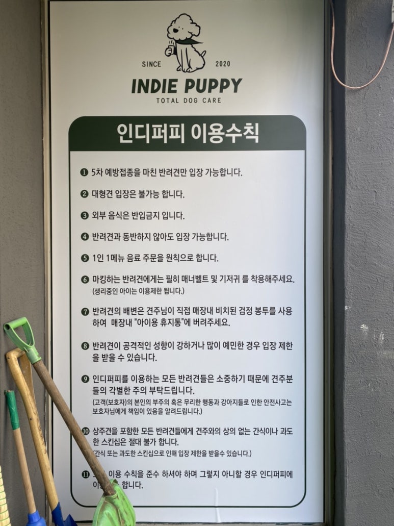 인디퍼피 이미지
