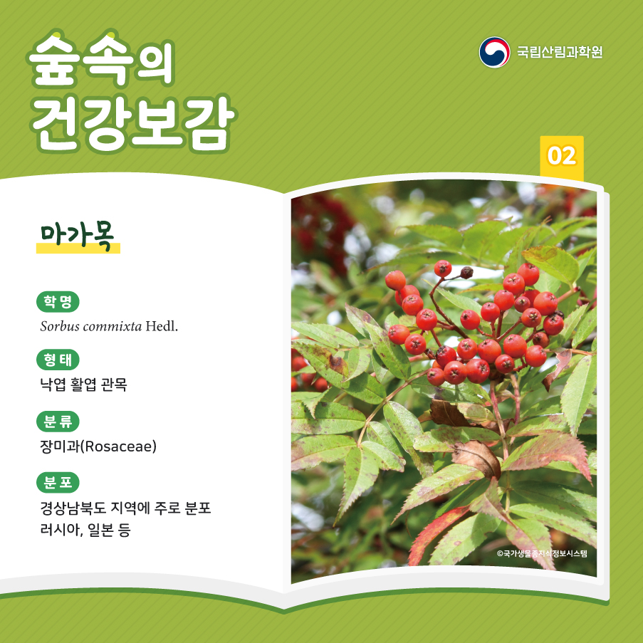 건강보감 이미지