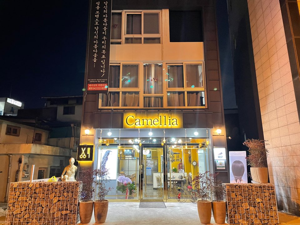 까멜리아헤어 이미지