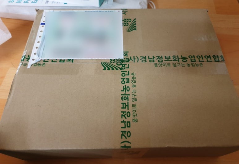 태초애 이미지