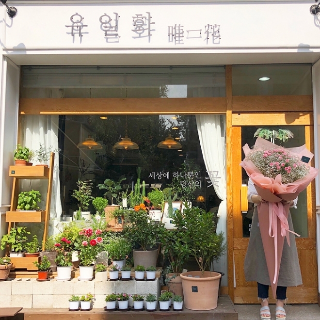 유일화 이미지