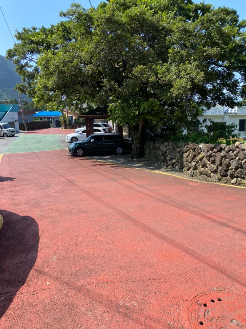 제주도조용한게스트하우스산방산점 이미지