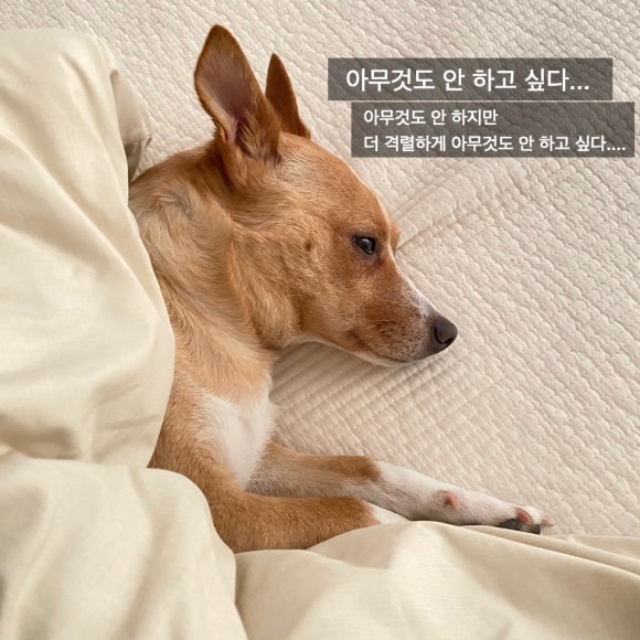 베이글카페(마포서교점) 이미지