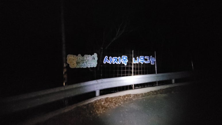 사지목나무그늘 이미지