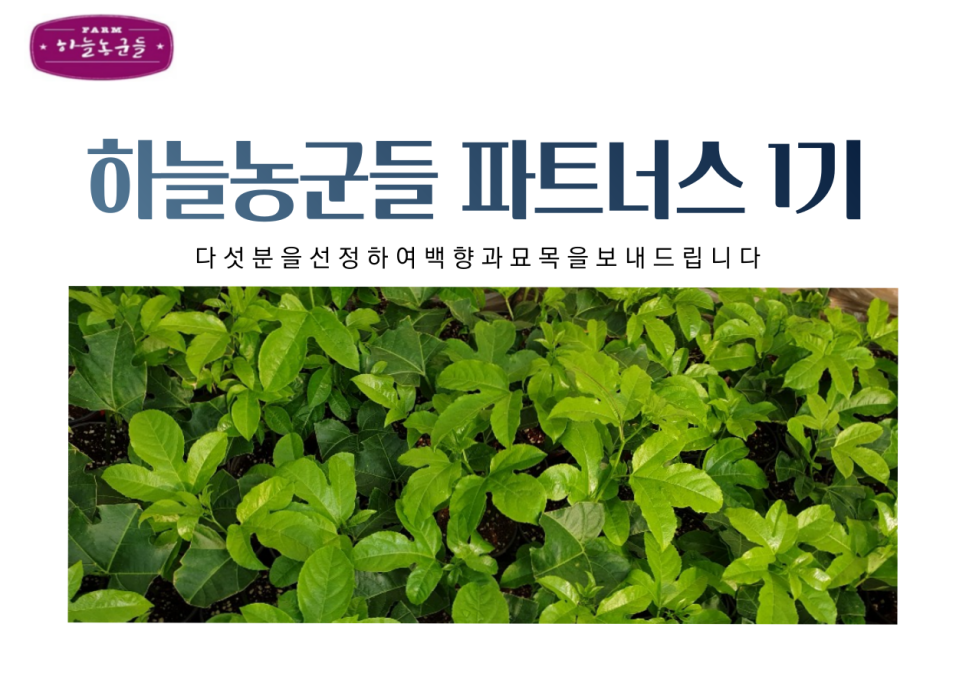 하늘파트너스 이미지