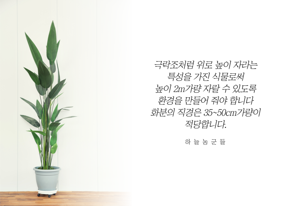 하늘파트너스 이미지