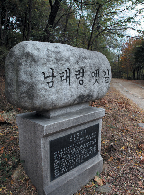 여우고개 이미지