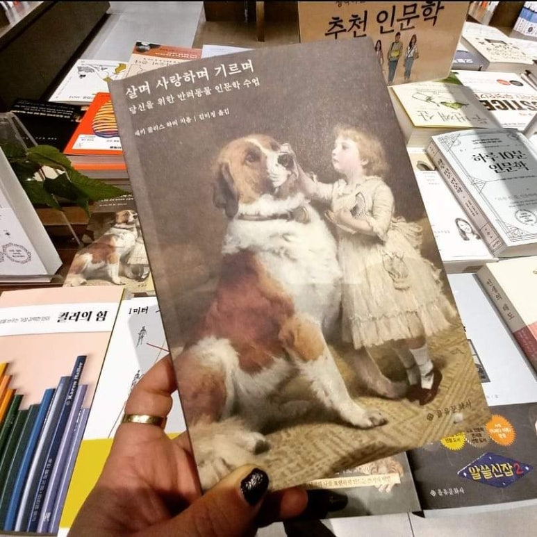 영풍문화사 이미지