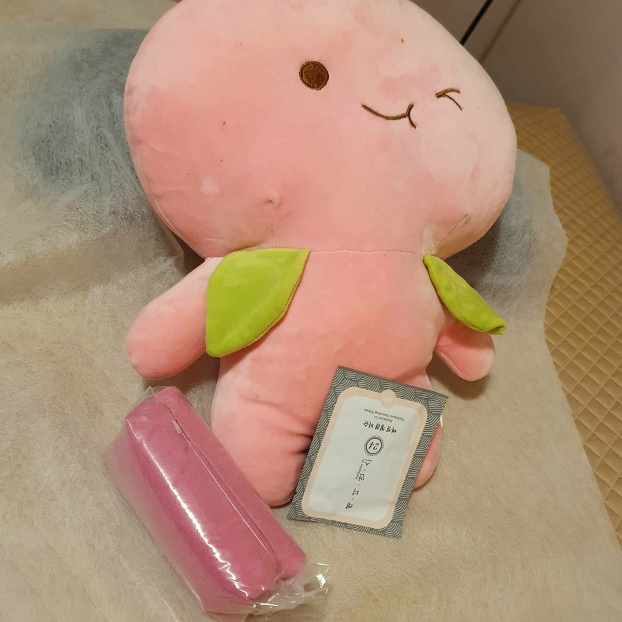 살롱 드 피치 이미지
