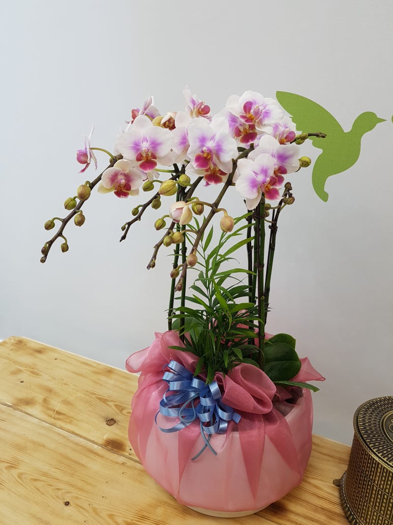 예천농협 하나로마트 수변점 이미지