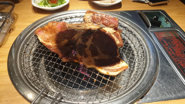 두수니 이미지