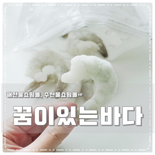 꿈이있는바다 이미지