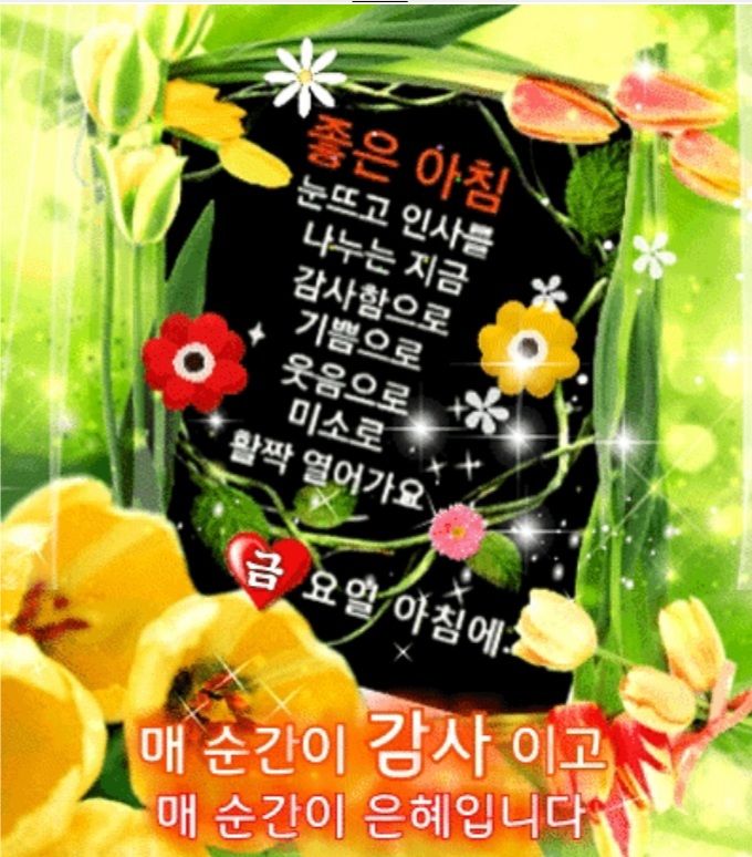 당신의인생사진 이미지