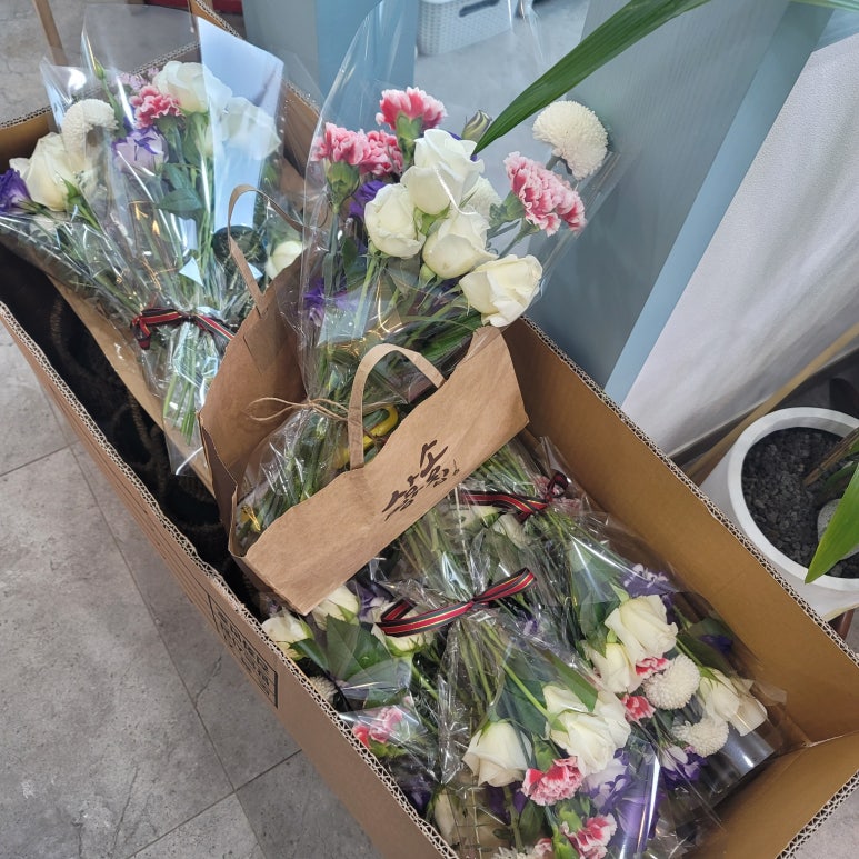 송지어란진초등학교 이미지