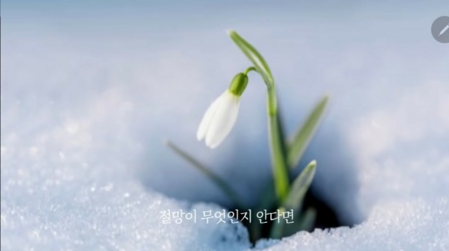 프로젝트캘리 이미지