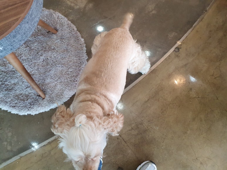 럽잇플라워 이미지