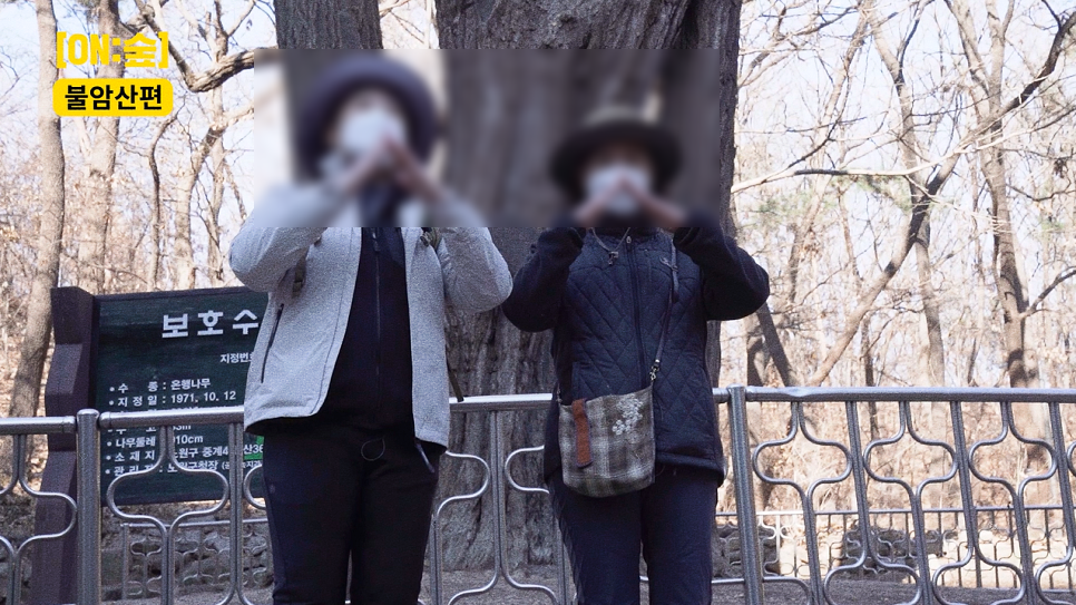 온노리 이미지