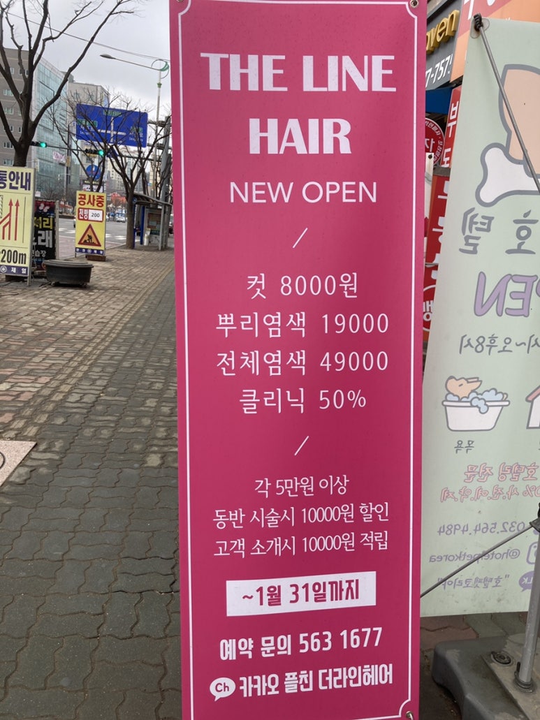 신성헤어라인 이미지