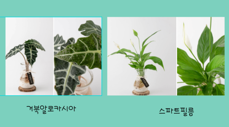 상갈독서실 이미지