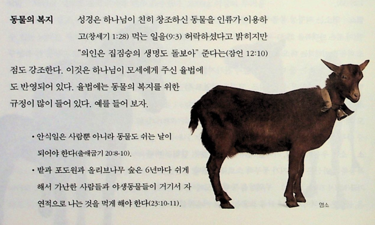 올바이블 이미지