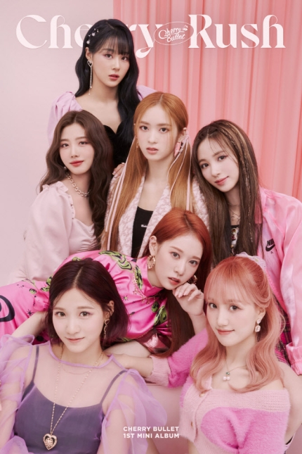 하이체리 이미지