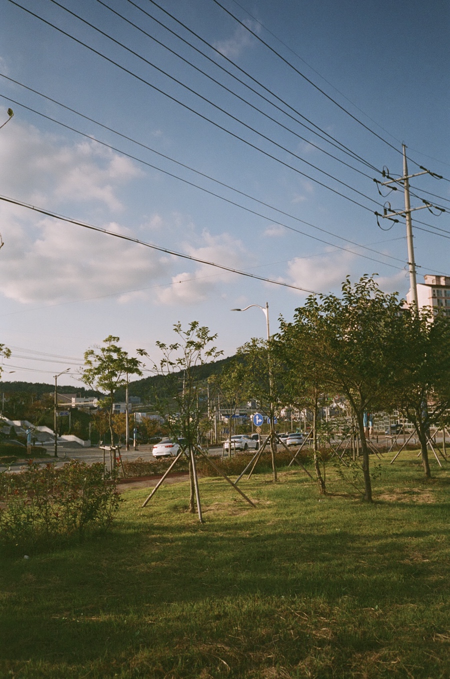 서울칼라현상소 이미지