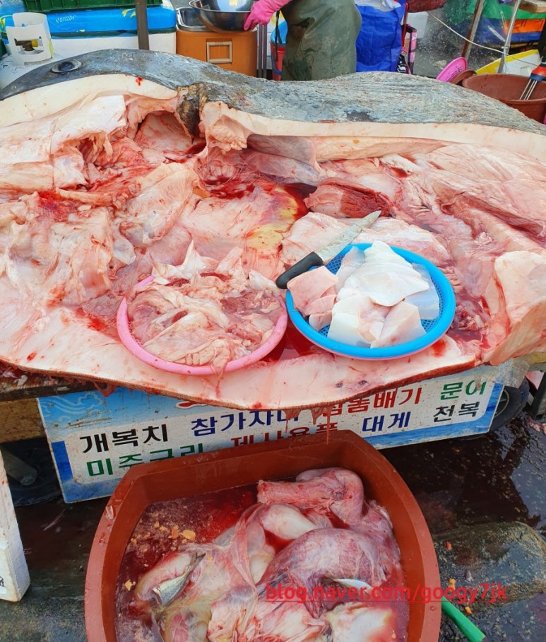 대일상회 이미지