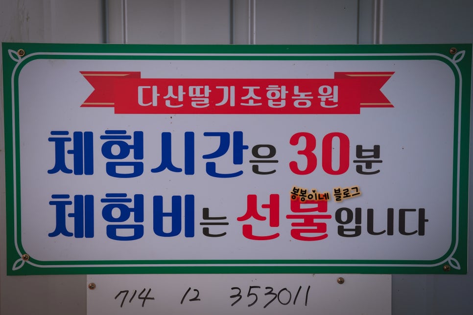 다산딸기수출 이미지