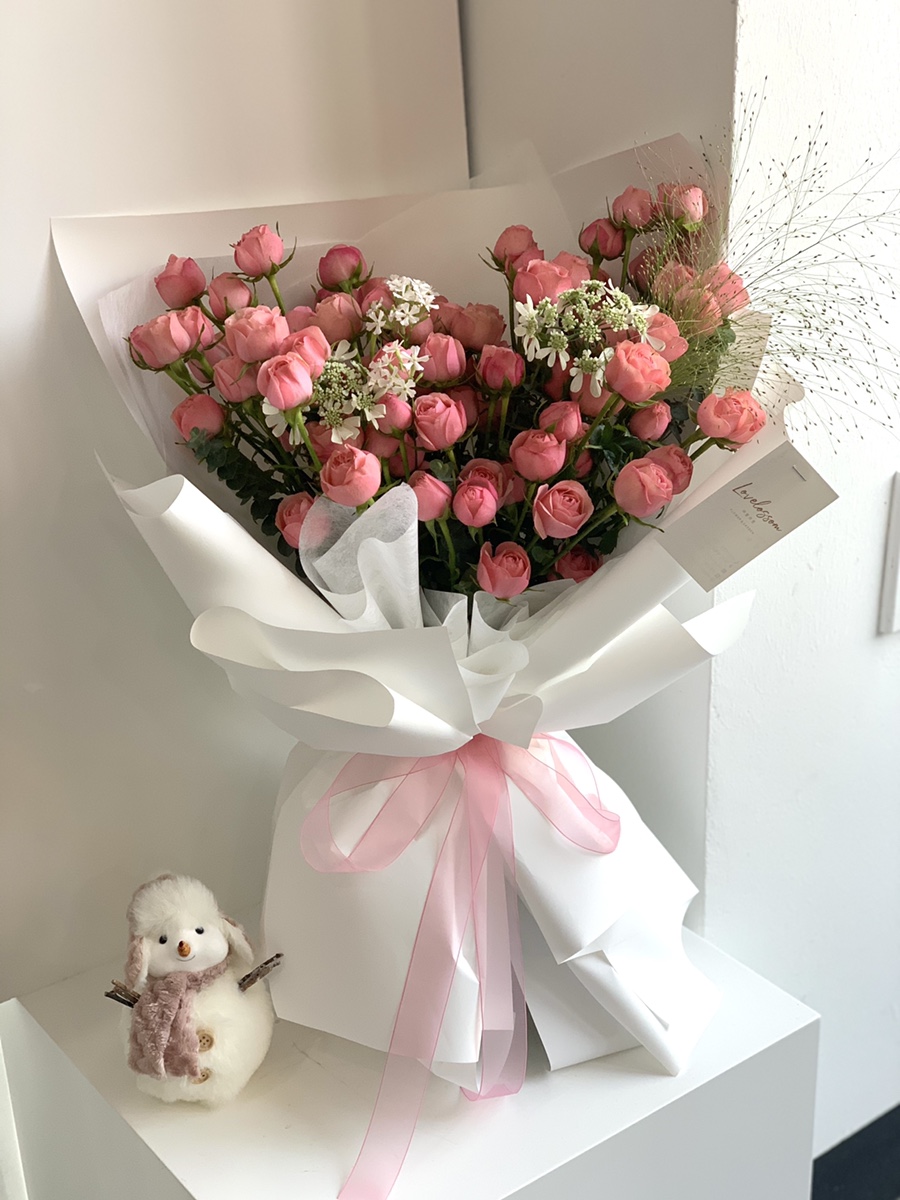 로즈스윗츠 이미지