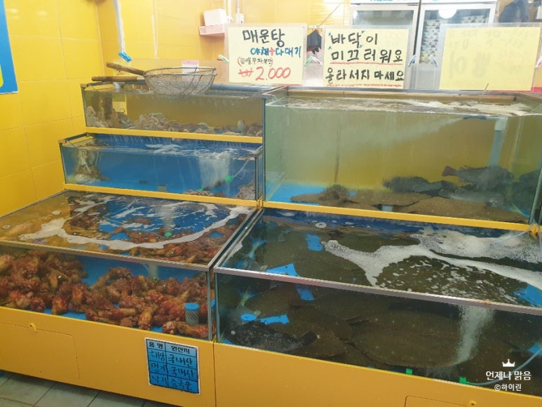 광어1마리 18000 이미지