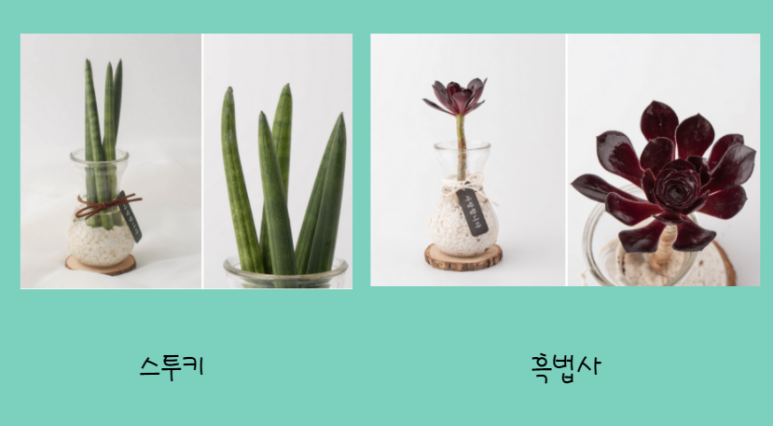 상갈독서실 이미지