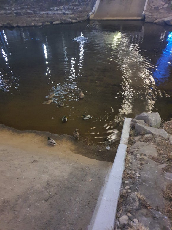 부라보마트 이미지