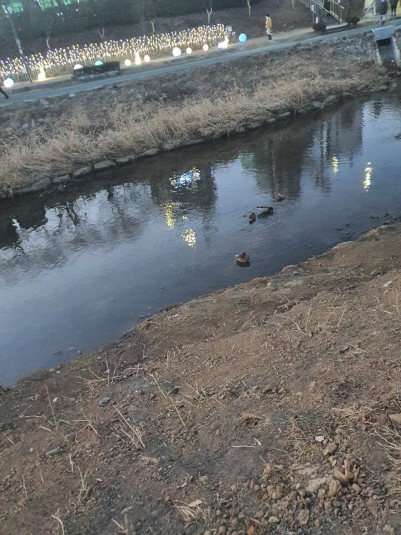 부라보마트 이미지