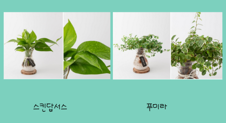 상갈독서실 이미지