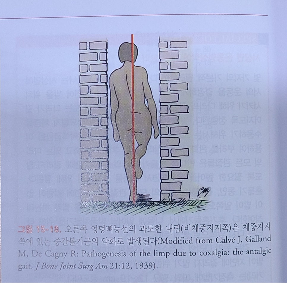 올핏ALLFIT 이미지