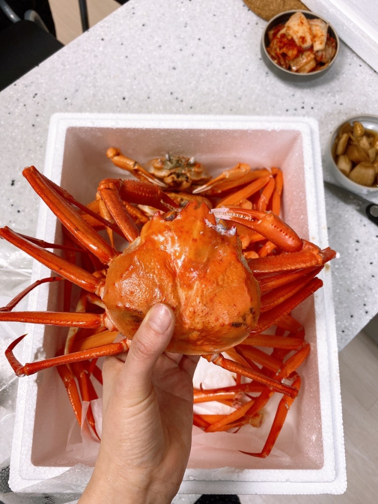 홍게양대게군 이미지