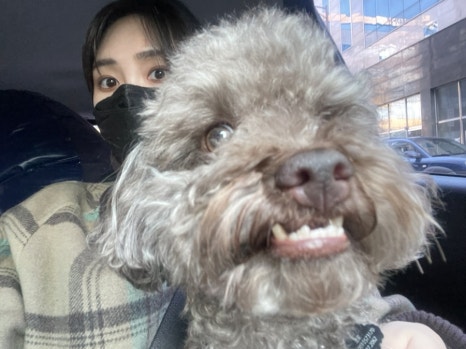견상낙원 이미지
