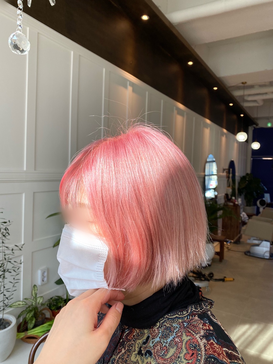 리쁘담 이미지