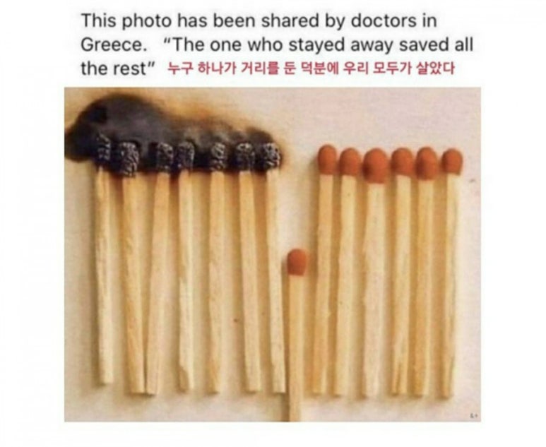 도라지마켓 이미지